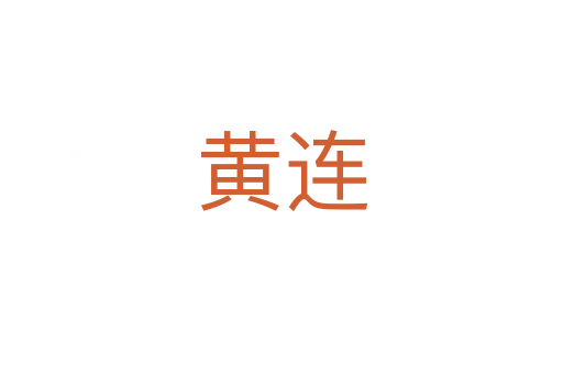 黄连